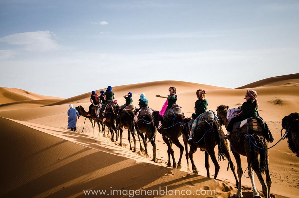 Caravana de dromedarios Marruecos