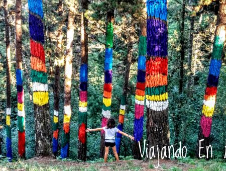 El bosque pintado de Oma, un bosque de cuento en Euskadi
